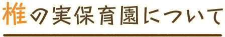 椎の実保育園について